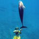 Image for article titled The beautiful and surreal sensuality of Sarah Lee's underwater photos